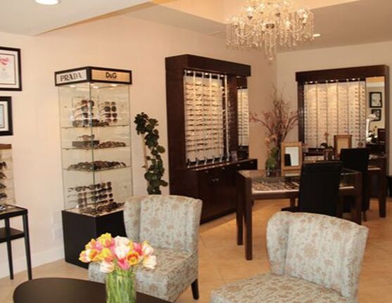 designer optical frames sunglasses Glendale Family Optometry Ani Halabi OD discounted frames